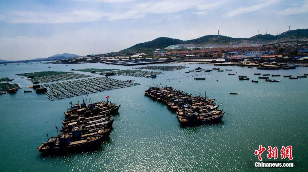 济南和青岛哪个能代表山东,济南和青岛谁的级别高