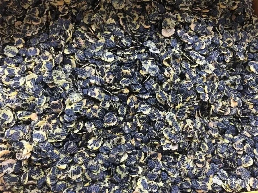 【厉害】神木黑豆“靓装”走向全国!