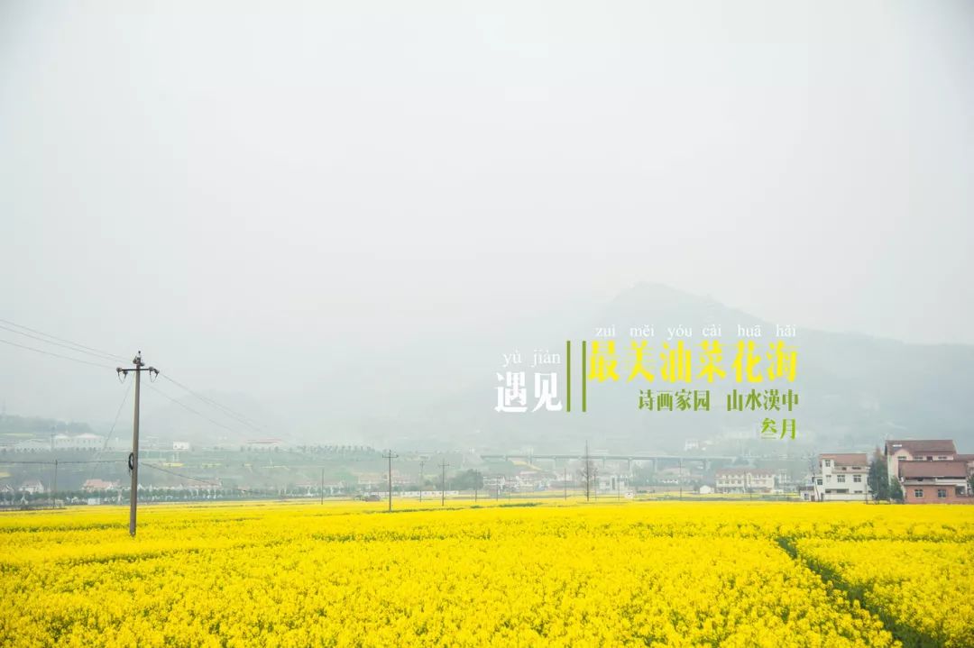 西安吃肉夹馍哪里最便宜,西安肉夹馍成都