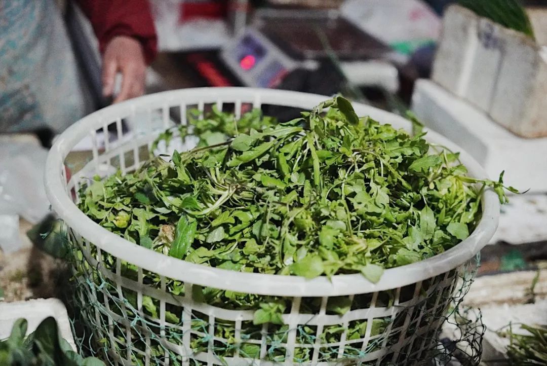 一向以“好吃”出名的凯悦，这次带我把人间三月的春天都吃进了嘴里