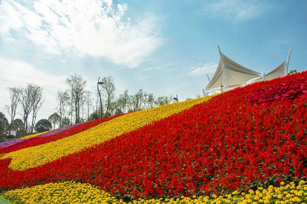 景观花海攻略,花海踏春旅游景点