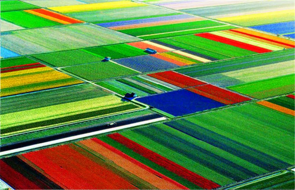 景观花海攻略,花海踏春旅游景点