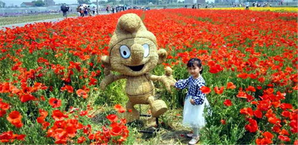 景观花海攻略,花海踏春旅游景点