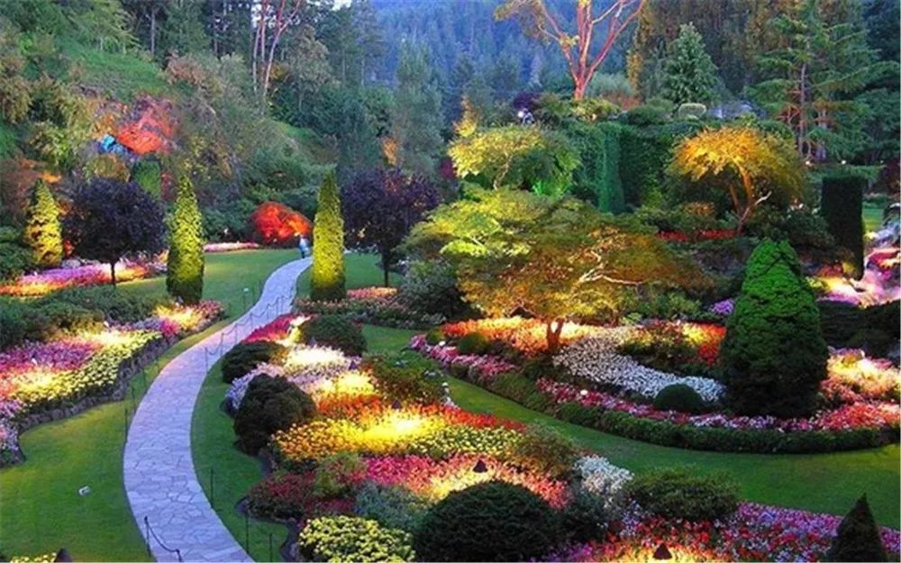 景观花海攻略,花海踏春旅游景点