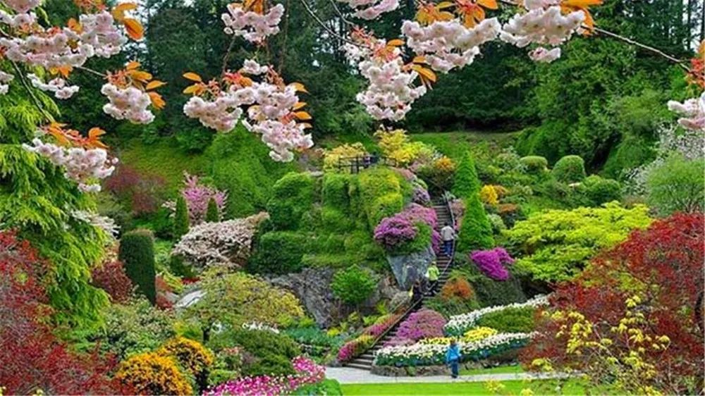 景观花海攻略,花海踏春旅游景点