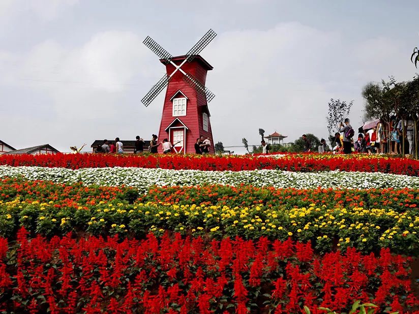 景观花海攻略,花海踏春旅游景点