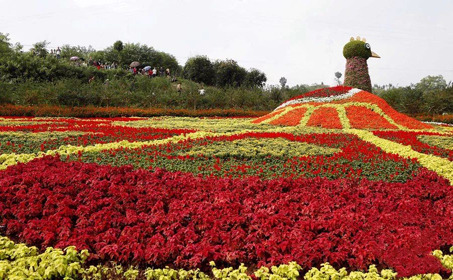 景观花海攻略,花海踏春旅游景点