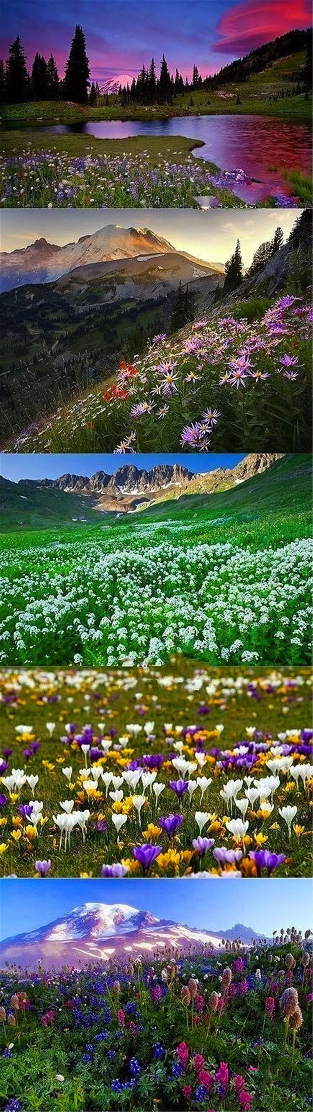 景观花海攻略,花海踏春旅游景点