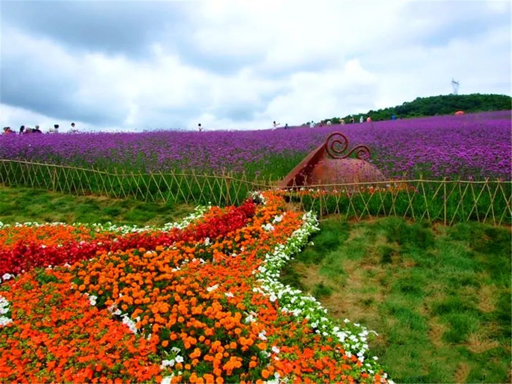 景观花海攻略,花海踏春旅游景点