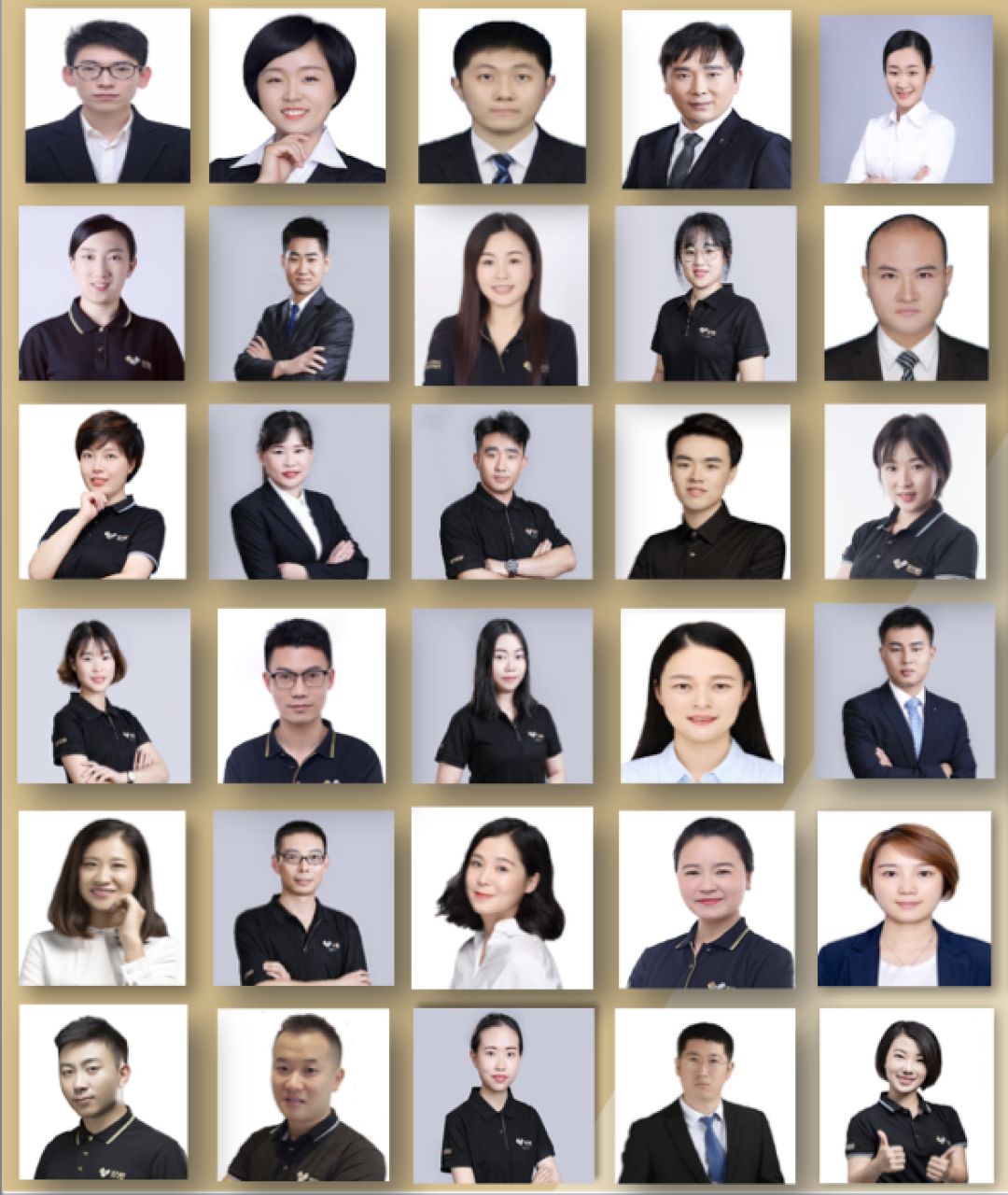 石家庄大童保险服务有限公司,大童保险销售服务有限公司