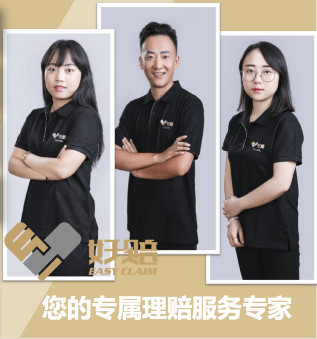 石家庄大童保险服务有限公司,大童保险销售服务有限公司