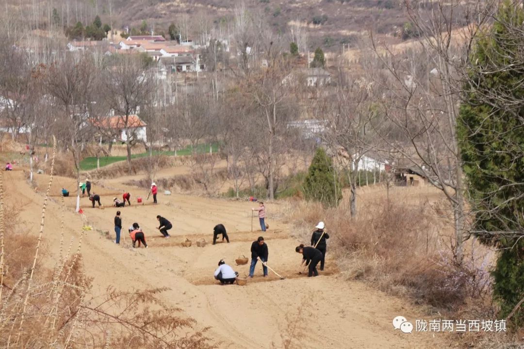 新型土地流转合作社,合作社带动农户土地流转