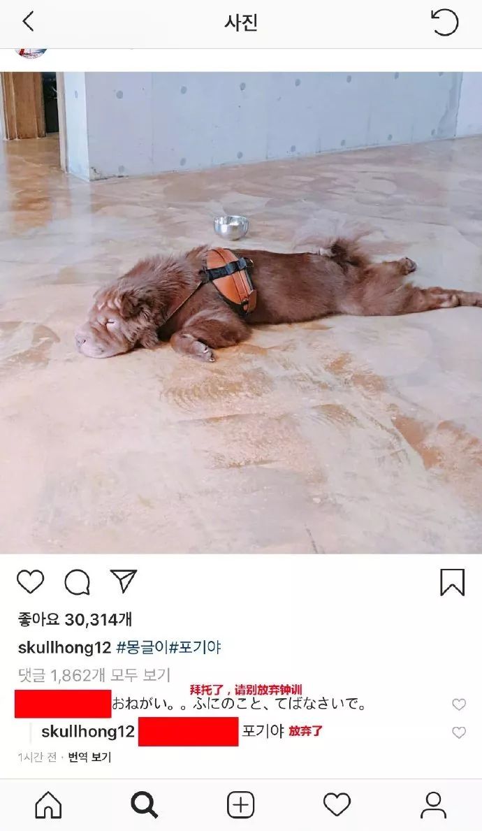 “胜利门”彻底撼动韩国!除了给娱乐圈大洗牌,还正式掀开了韩国*商勾官**结的遮羞布...