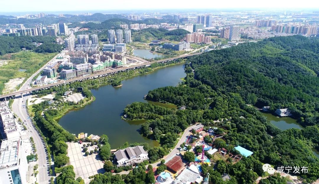 聚焦高质量引领新发展,聚焦高质量发展主题