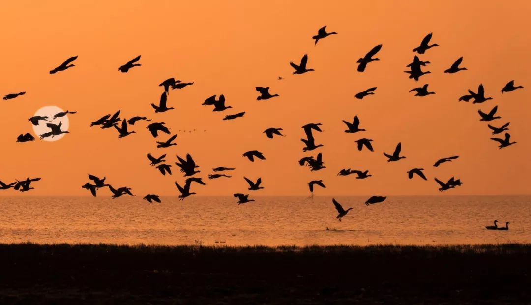 觊觎读音及解释,觊觎多音字