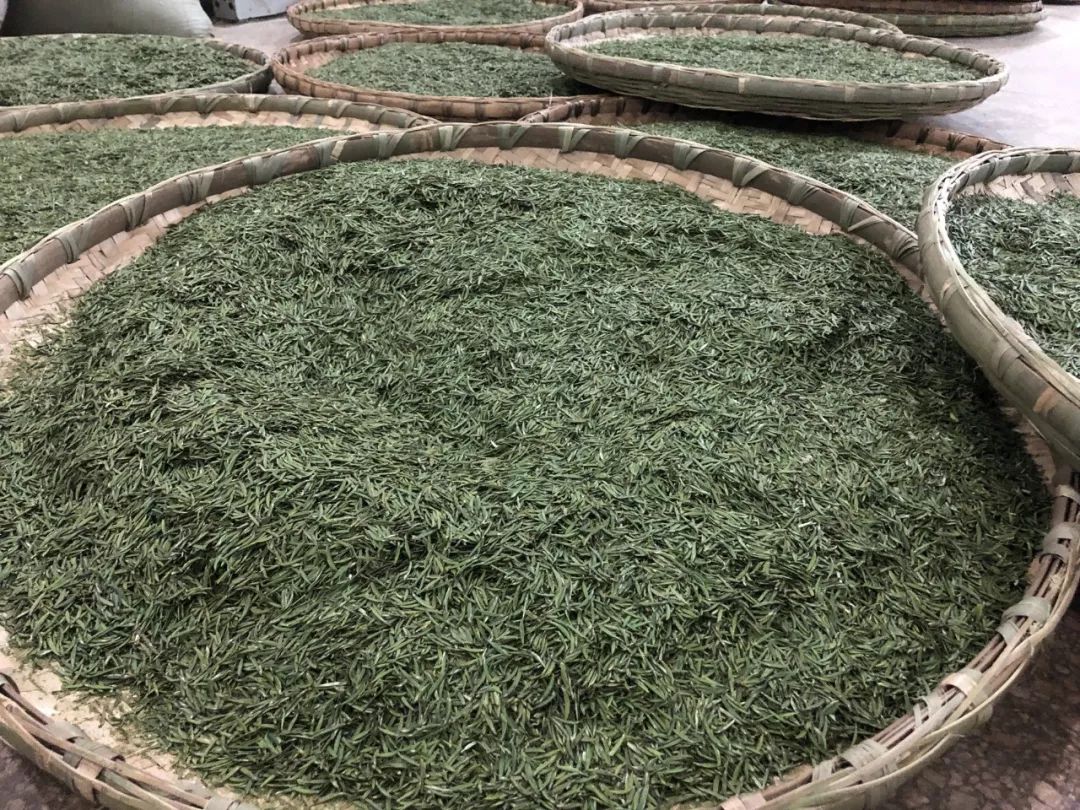 五粮液最近销量怎么样,五粮液逆势前后对比