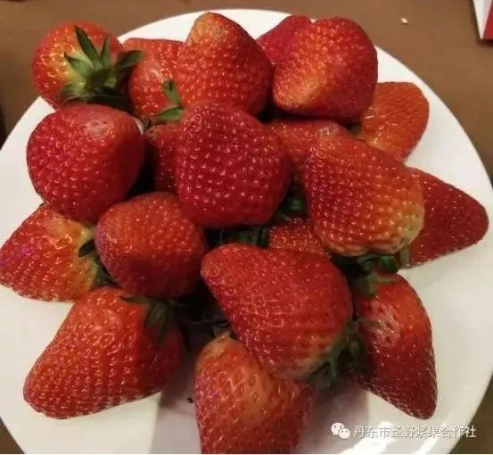 2019全国十大好吃草莓，上榜的企业和品牌都有谁？