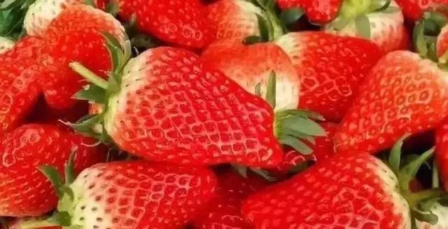 2019全国十大好吃草莓，上榜的企业和品牌都有谁？