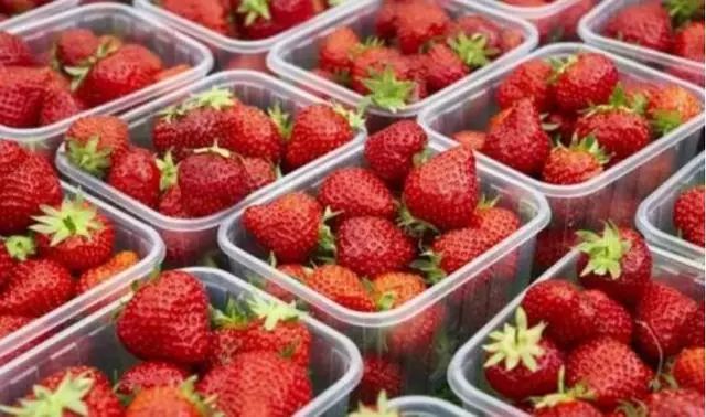 2019全国十大好吃草莓，上榜的企业和品牌都有谁？