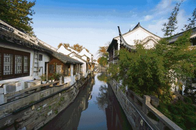 吵翻了!魔都16区终于正面PK!哪个是你心中的C位担当?