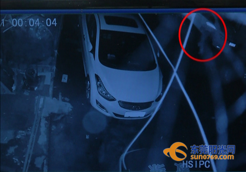 两名男子借酒“行凶”路边多辆汽车惨遭毒手