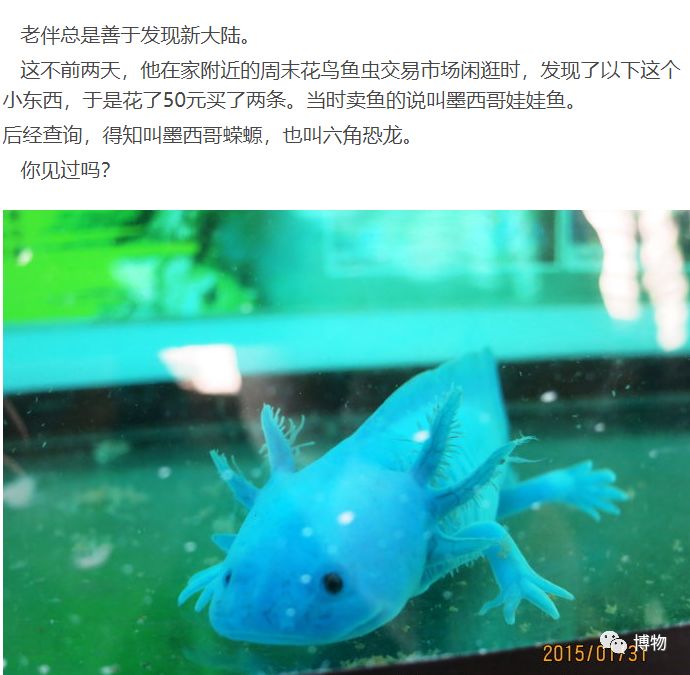 9102年了，别再用“人造”伤害动物和买家