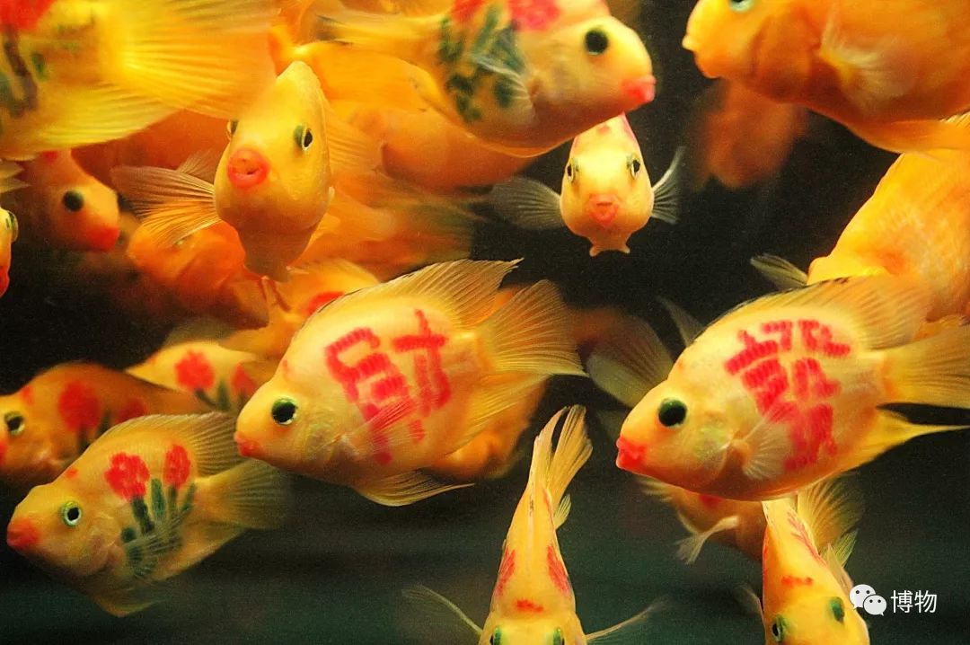 9102年了，别再用“人造”伤害动物和买家