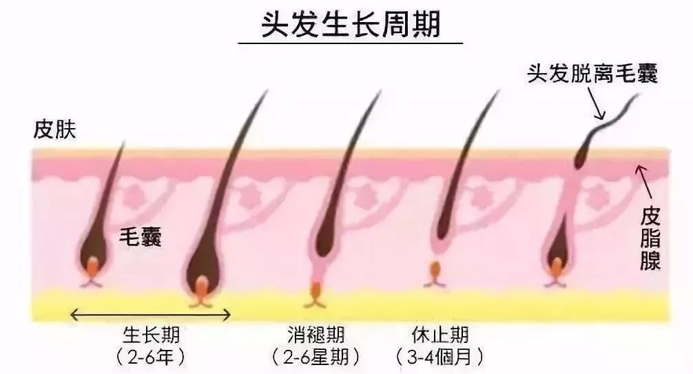 想要「换发型等于换头」?看这简单3步就可以
