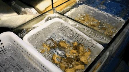 撸串新店开业,步行街烧烤啤酒畅饮抖音团购套餐