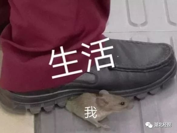 疫情大动作,武汉大动作