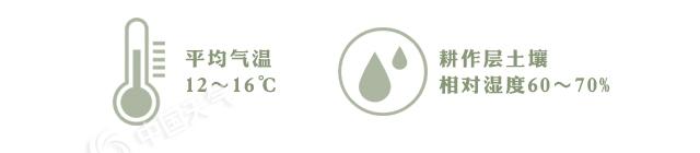 安徽拍油菜花最佳旅游地,安徽歙县石潭村油菜花