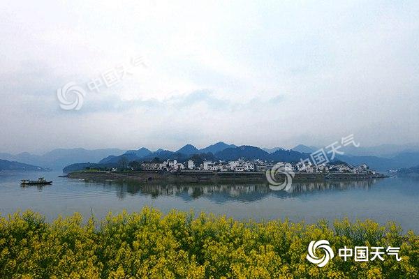 安徽拍油菜花最佳旅游地,安徽歙县石潭村油菜花