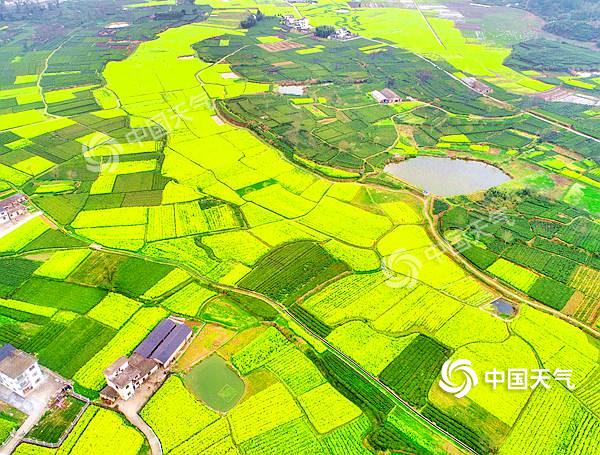 安徽拍油菜花最佳旅游地,安徽歙县石潭村油菜花