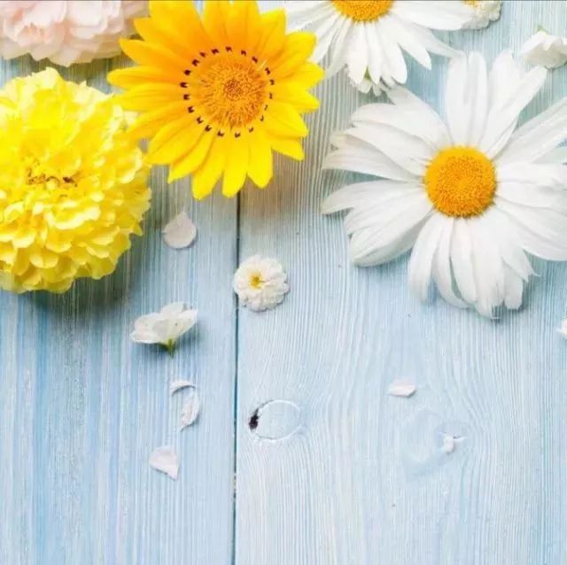 瓷器买哪的好价格便宜,一百元能买到什么瓷器