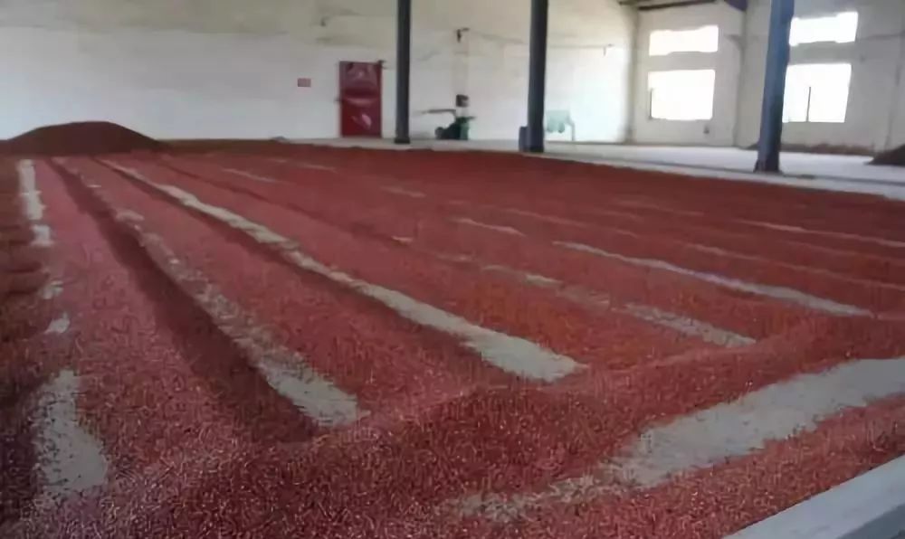 捡鸡蛋吃生鸡蛋,捡鸡蛋给爷爷奶奶吃