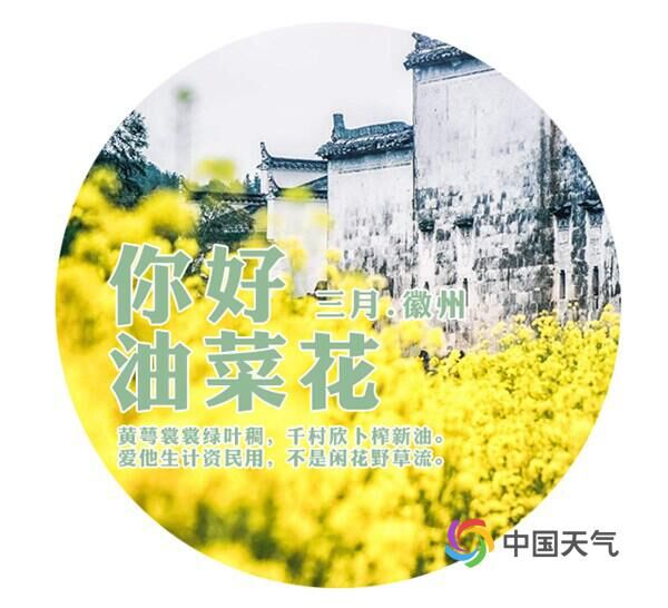 安徽拍油菜花最佳旅游地,安徽歙县石潭村油菜花