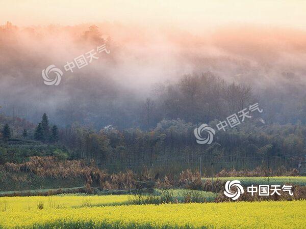 安徽拍油菜花最佳旅游地,安徽歙县石潭村油菜花