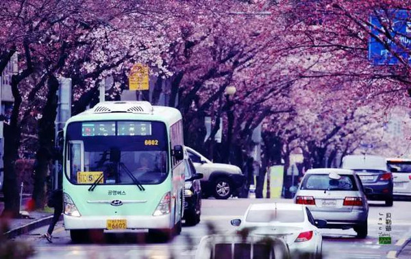 物美价廉跨国游攻略,国外平价旅游推荐排行榜