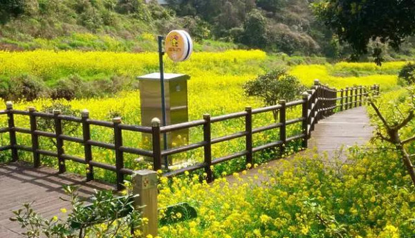 物美价廉跨国游攻略,国外平价旅游推荐排行榜