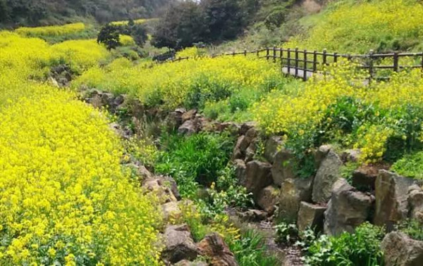 物美价廉跨国游攻略,国外平价旅游推荐排行榜