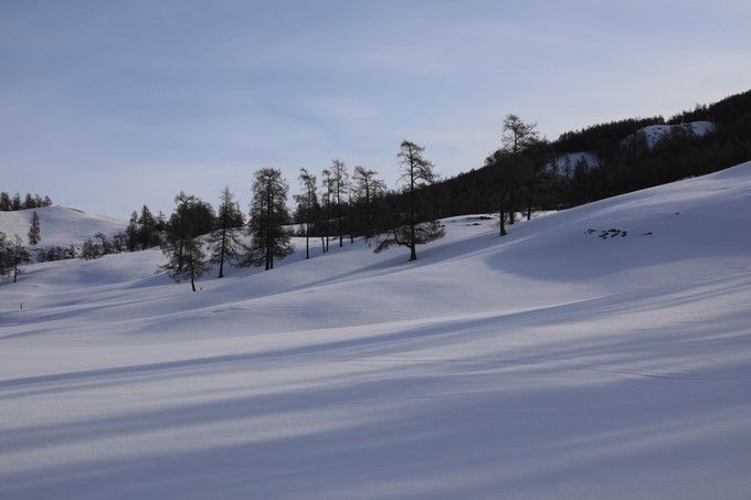喀纳斯秋雪美景,喀纳斯雪国