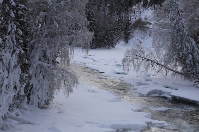 喀纳斯秋雪美景,喀纳斯雪国
