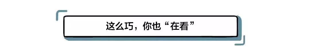 16岁跨境上学的少女*私走**iphone，她有怎样的秘密？
