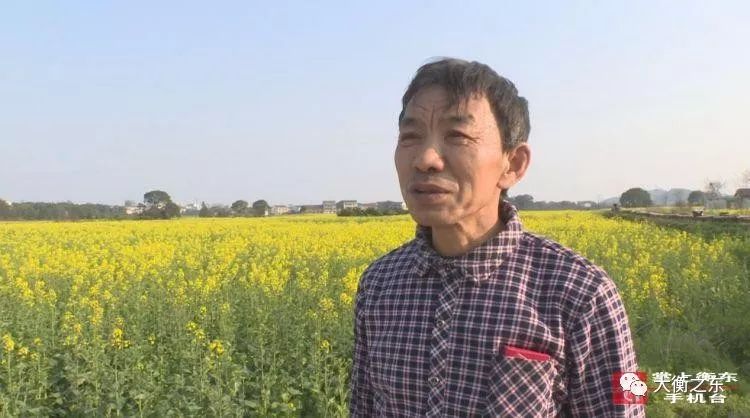 青春衡东:春来花开采蜜忙,欧金华沿着花的足迹迁徙