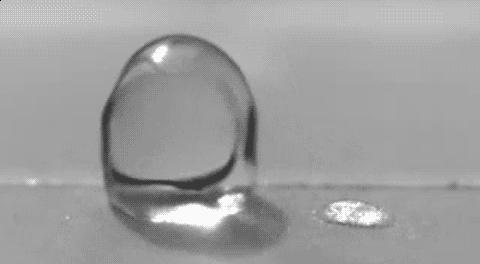 血橙面膜补水保湿正品,血橙熬夜亮肤面膜