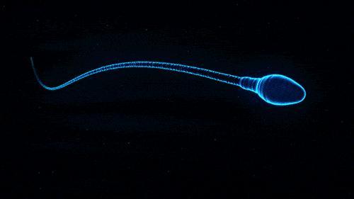 不臃肿也不紧绷保暖裤男,舒适无束缚休闲裤男