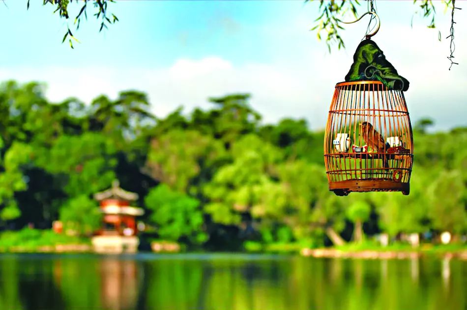 鍗楃楦熺鏂囧寲,楦熺鏂囧寲鐮旂┒