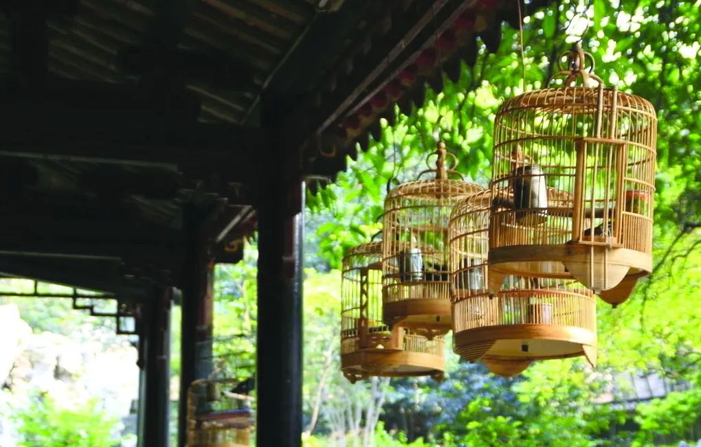 鍗楃楦熺鏂囧寲,楦熺鏂囧寲鐮旂┒