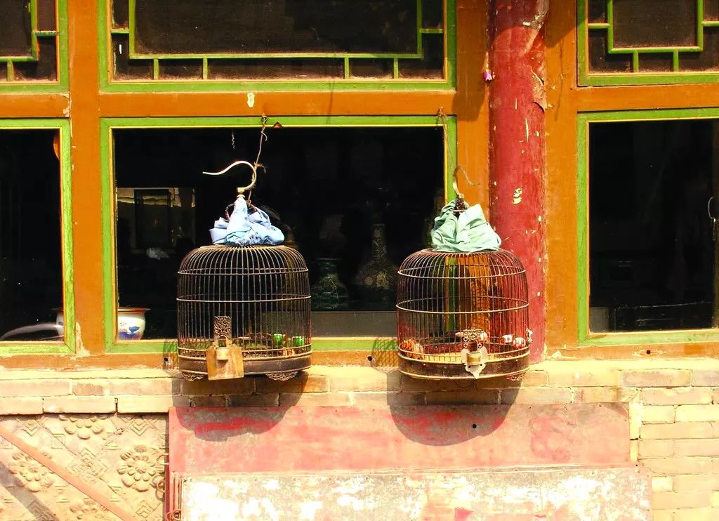 鍗楃楦熺鏂囧寲,楦熺鏂囧寲鐮旂┒