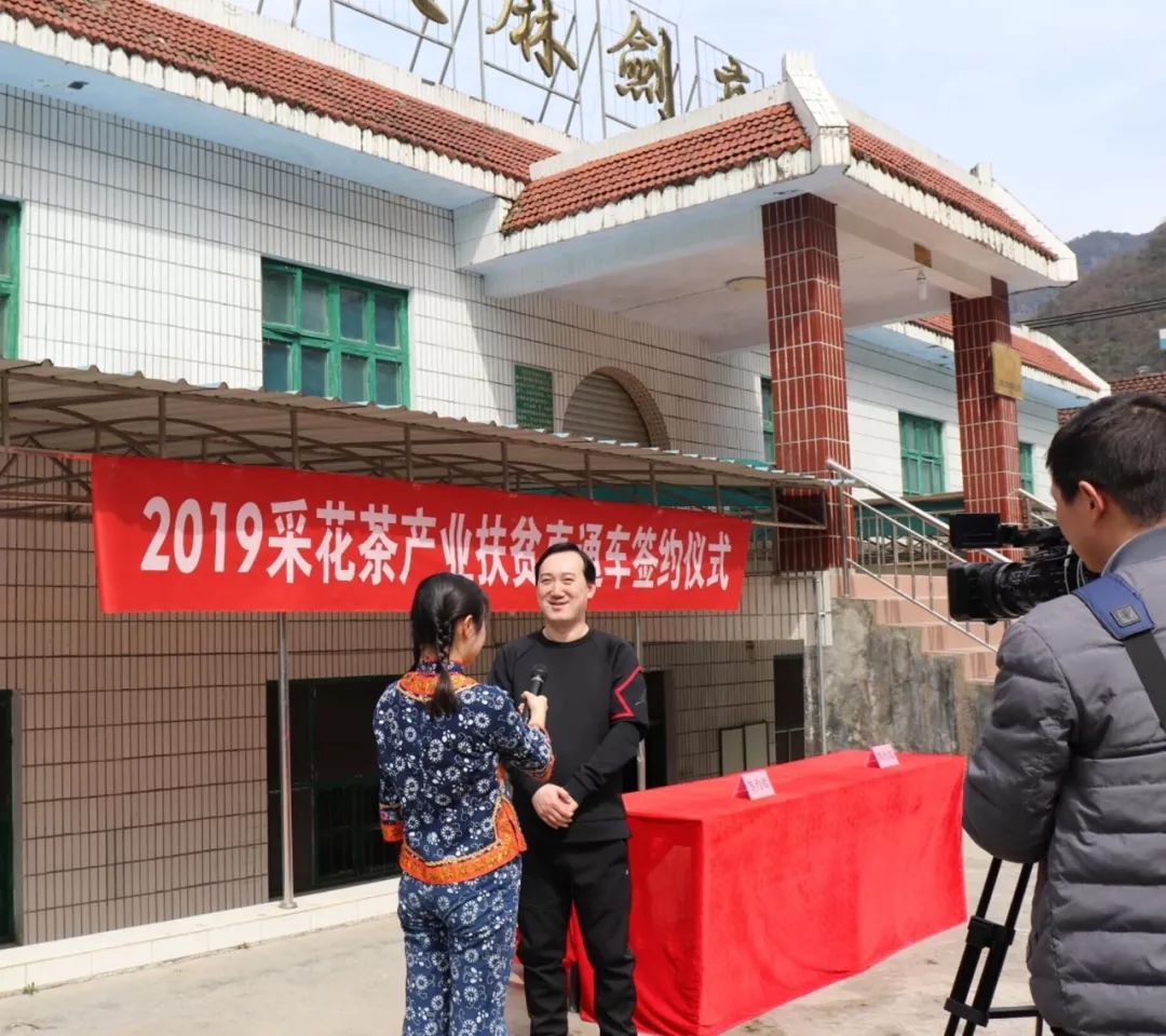 *花采**毛尖春茶今日开园，首批茶农搭上茶产业扶贫直通车